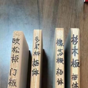 Ո(q��ng)ݔ������(c��)���Q